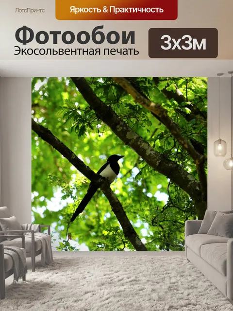 Фотообои Сорока на деревьях