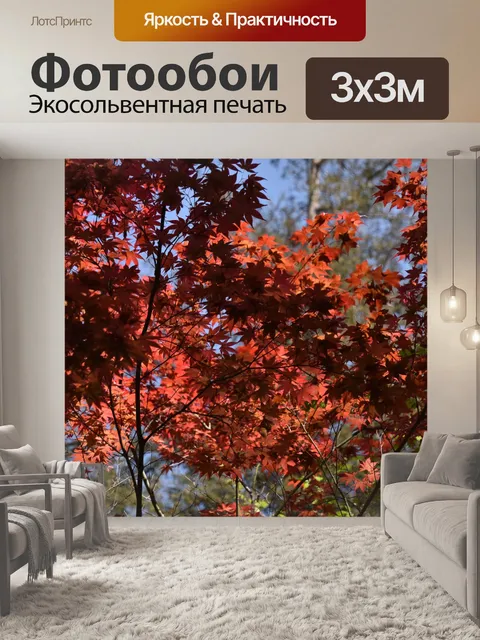 Фотообои Лиственное дерево