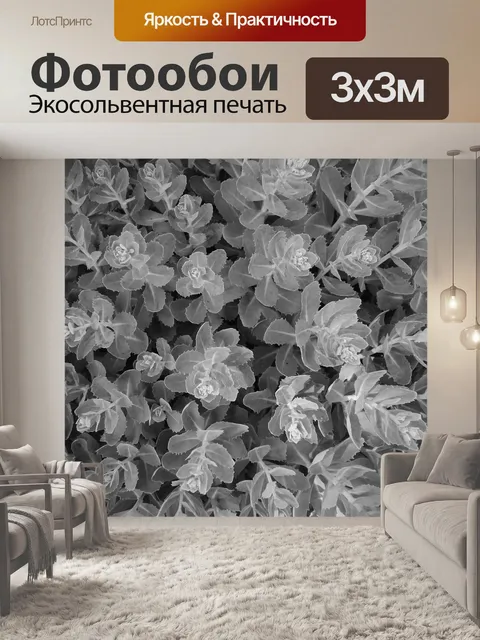 Фотообои Листья