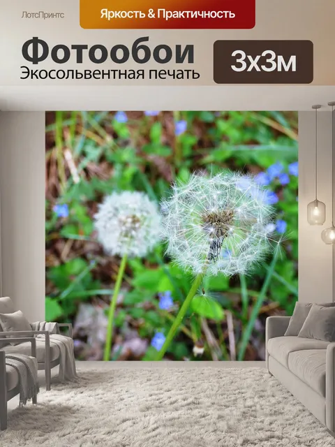 Фотообои Одуванчик