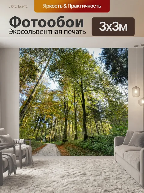 Фотообои Лес