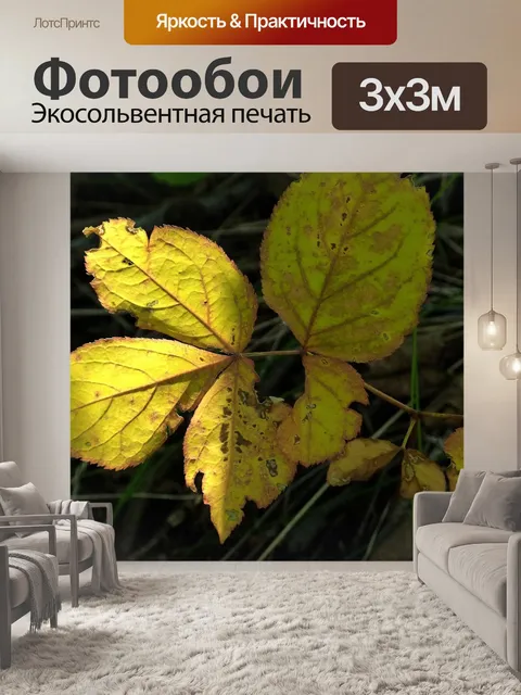 Фотообои Листья