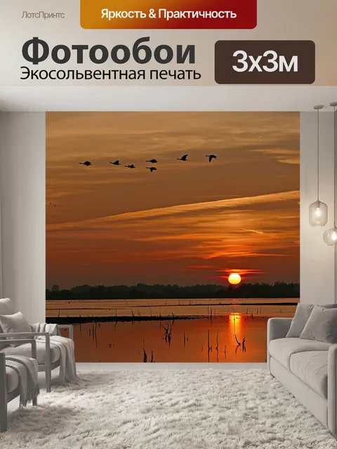 Фотообои Гуси