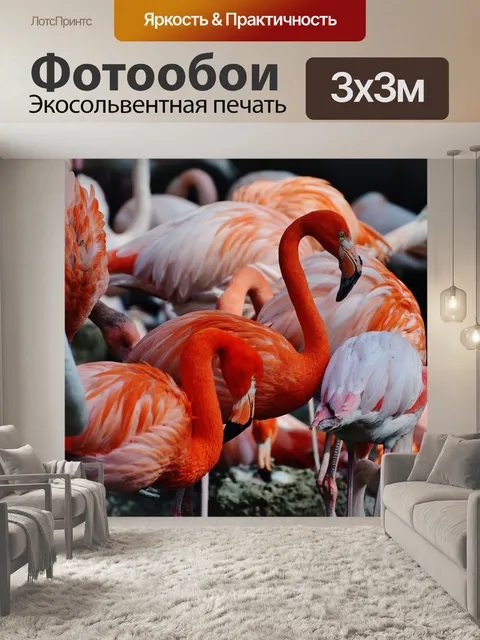 Фотообои Фламинго