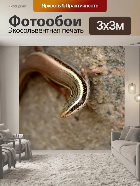Фотообои Природа