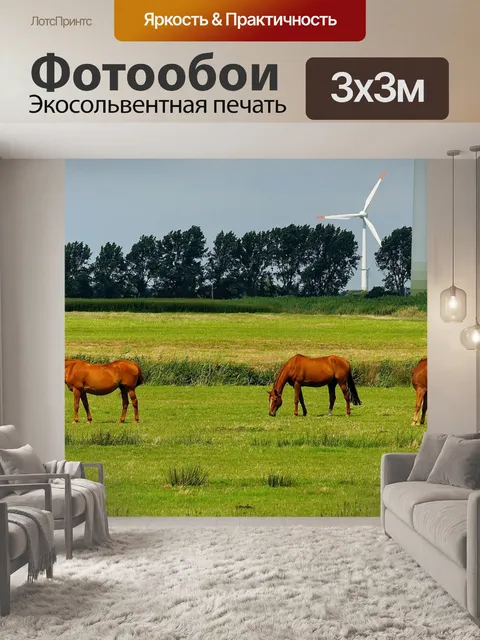 Фотообои Лошади