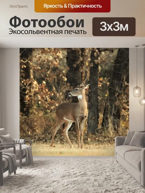 Фотообои Белохвостый олень в лесу