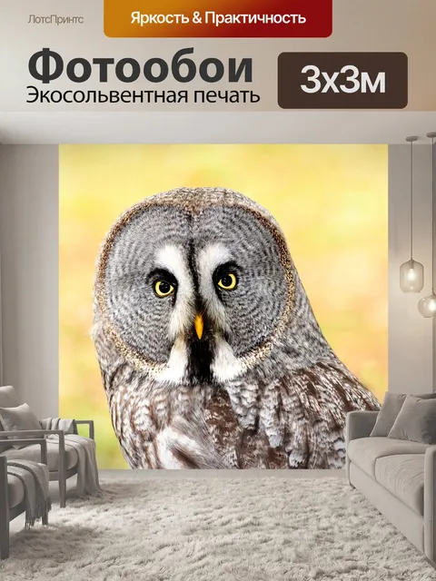 Фотообои Лапландия сова