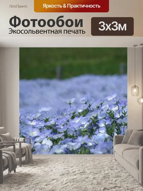 Фотообои Nemophila