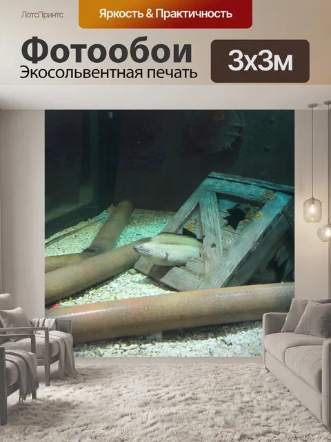 Фотообои Угорь