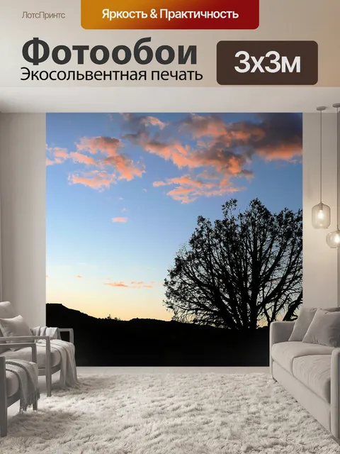 Фотообои Силуэт