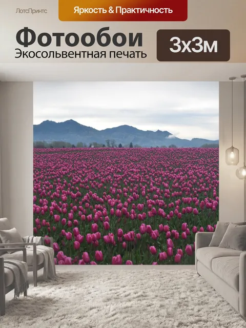 Фотообои Розовые тюльпаны