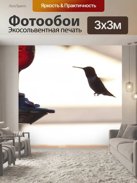 Фотообои Посадка Hummingbird на фидер
