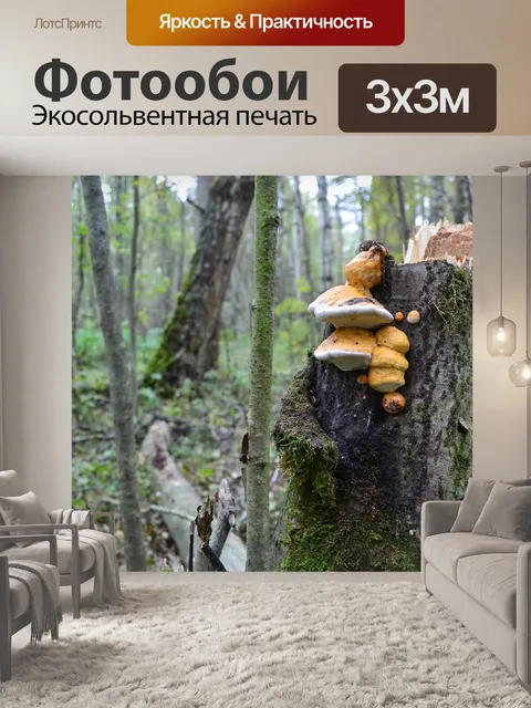 Фотообои Лес