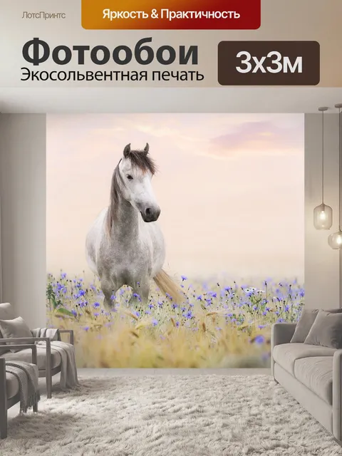 Фотообои Лошадь