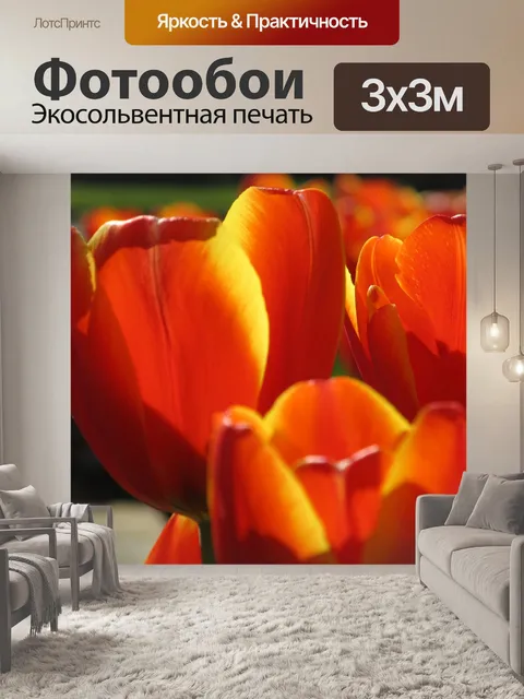 Фотообои Цветущие тюльпаны близко