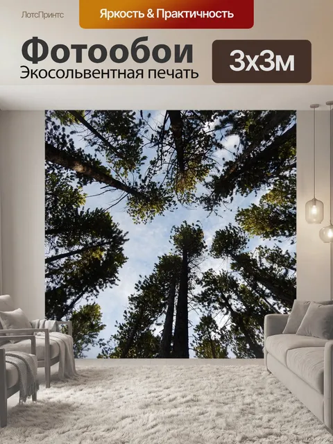 Фотообои Деревья