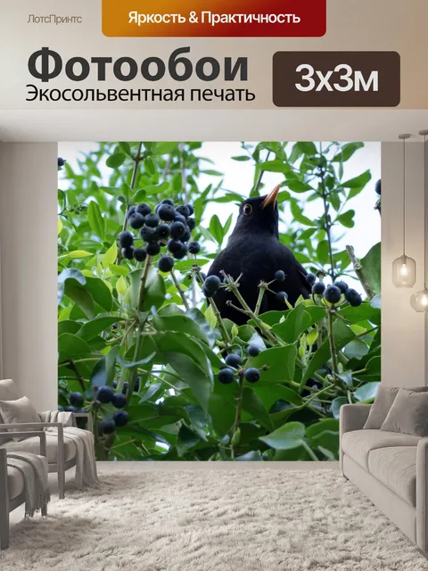 Фотообои Фрукты