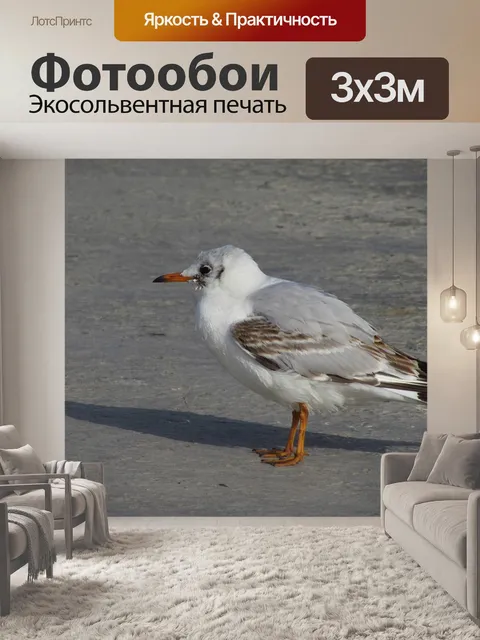 Фотообои Птицы