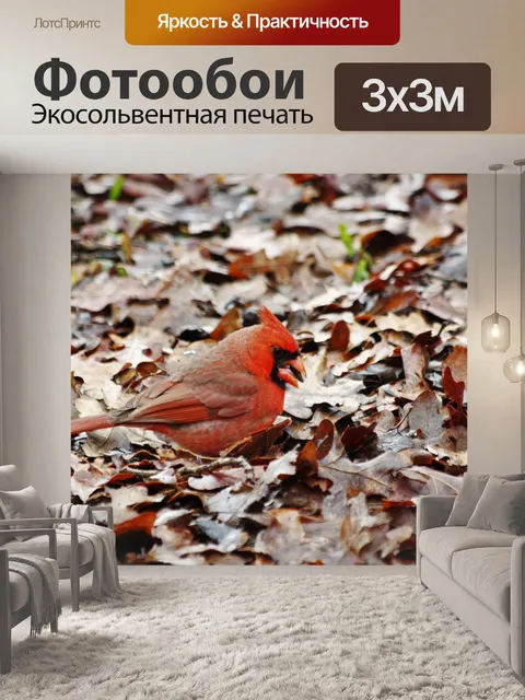 Фотообои Кардинал в осенних листьях