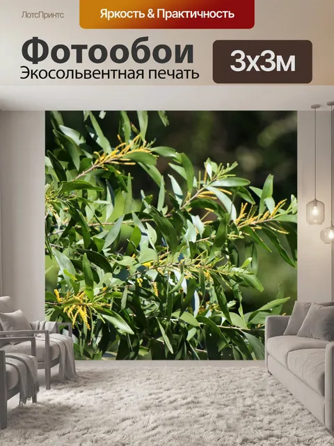 Фотообои Желтый цветок природа фон