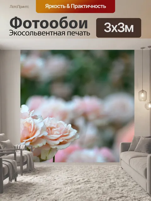 Фотообои Розы