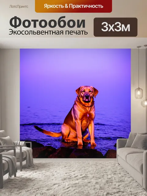 Фотообои лабрадор сидит на каменистом берегу океана, его шерсть блестит на солнце