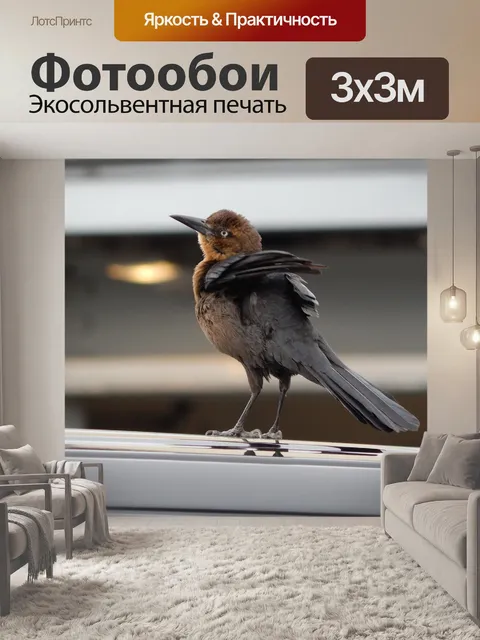 Фотообои Птица