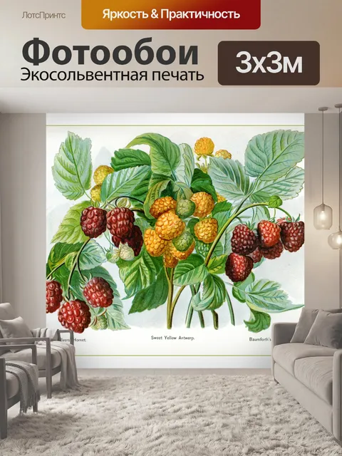 Фотообои Фрукты винтаж искусство старые