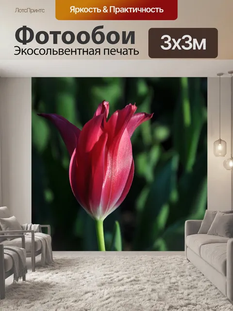 Фотообои Цветы