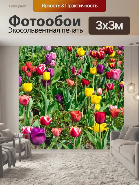 Фотообои Тюльпаны