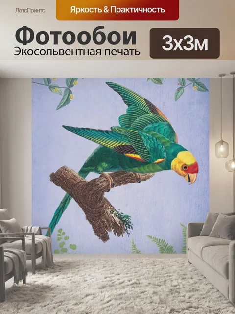Фотообои Попугай птица старинный плакат