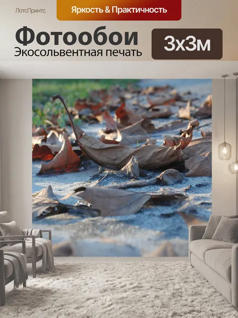 Фотообои Мертвые лист