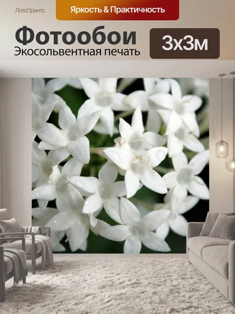 Фотообои белые цветы