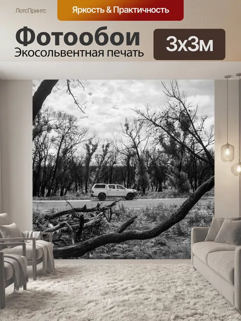 Фотообои Машина