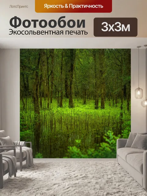 Фотообои лес с болотистыми участками и редким растительным покрытием