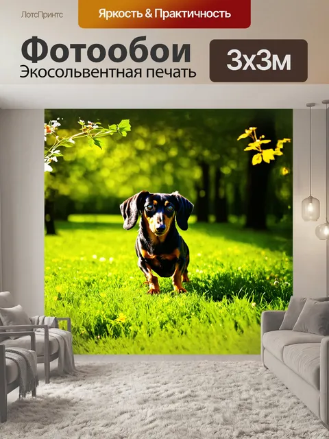 Фотообои такса, играющая на ярком зелёном лугу, окружённая цветами, её длинное тело целиком покрыто мягким черным мехом