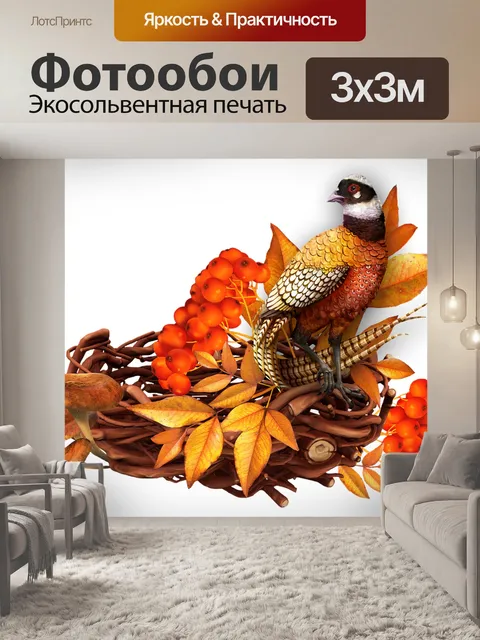 Фотообои Птица