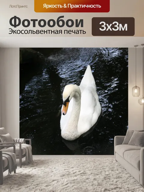 Фотообои лебедь на пруду
