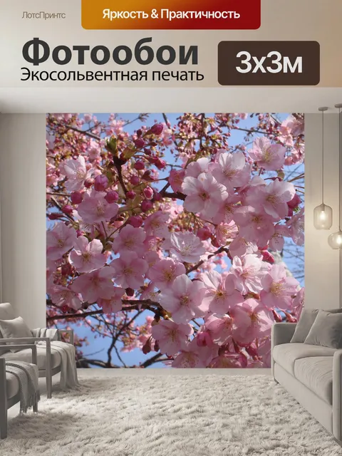 Фотообои Сакура