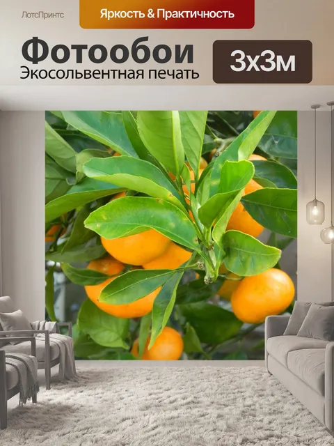 Фотообои Мандарин Плодовое дерево и фрукты
