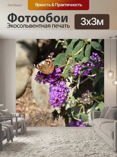 Фотообои бабочка на лаванде