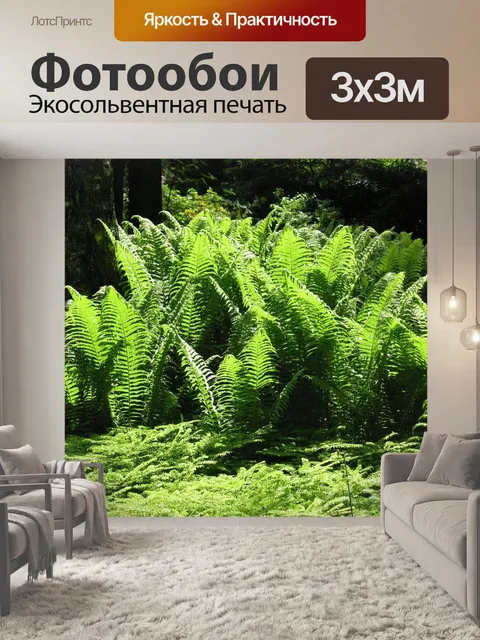 Фотообои Папоротник
