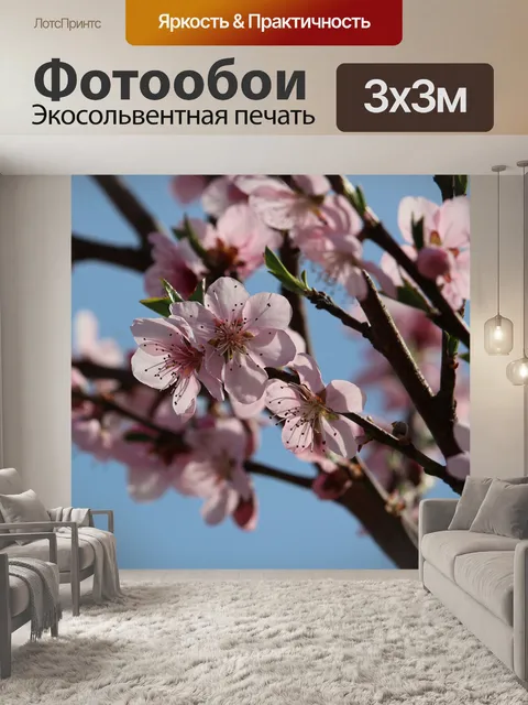 Фотообои Персиковый цвет