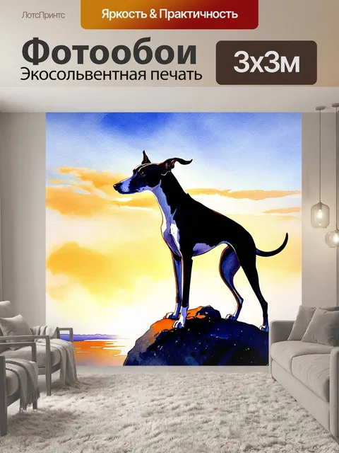Фотообои борзая, возносящаяся на скале с видом на бескрайний горизонт, а на фоне закат, где ветер треплет её шерсть