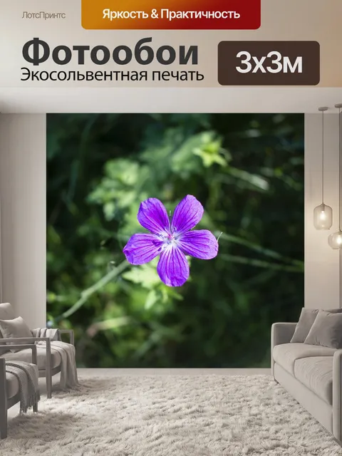 Фотообои Цветы