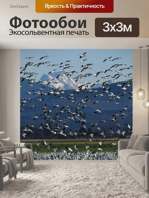 Фотообои Снежные гуси