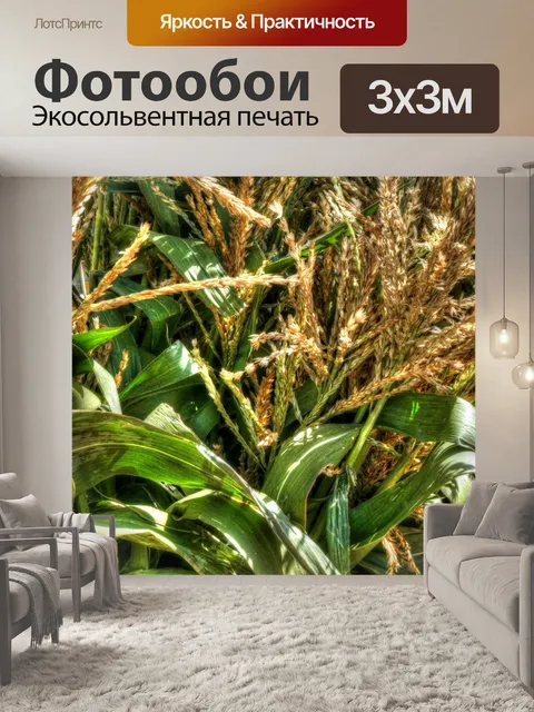 Фотообои Кукурузные стебли