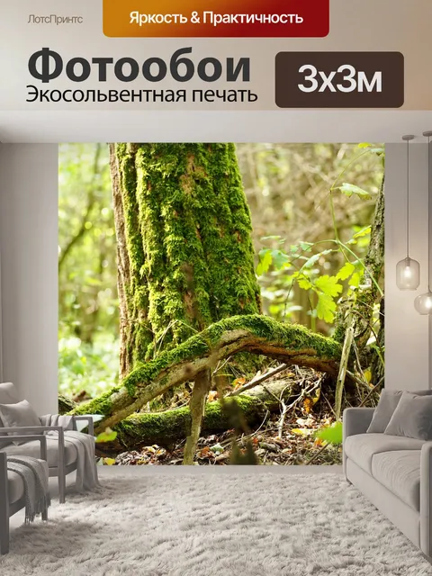 Фотообои Мох