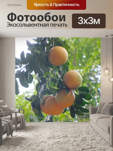 Фотообои Апельсин